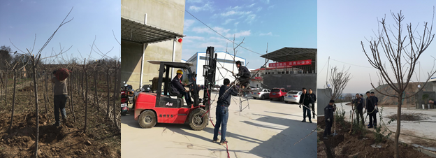 寶雞捷銳“迎春風，綠家園”植樹節(jié)(圖2)